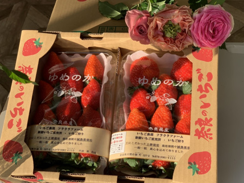 S__9183244.jpg