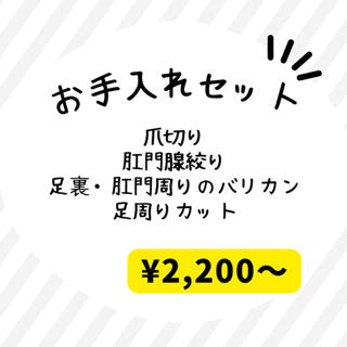 image0-2.png