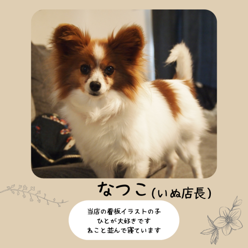 image0-5.png