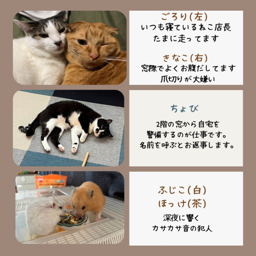 image1-3.png