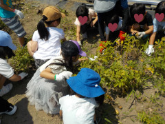 DSCN4367.JPG