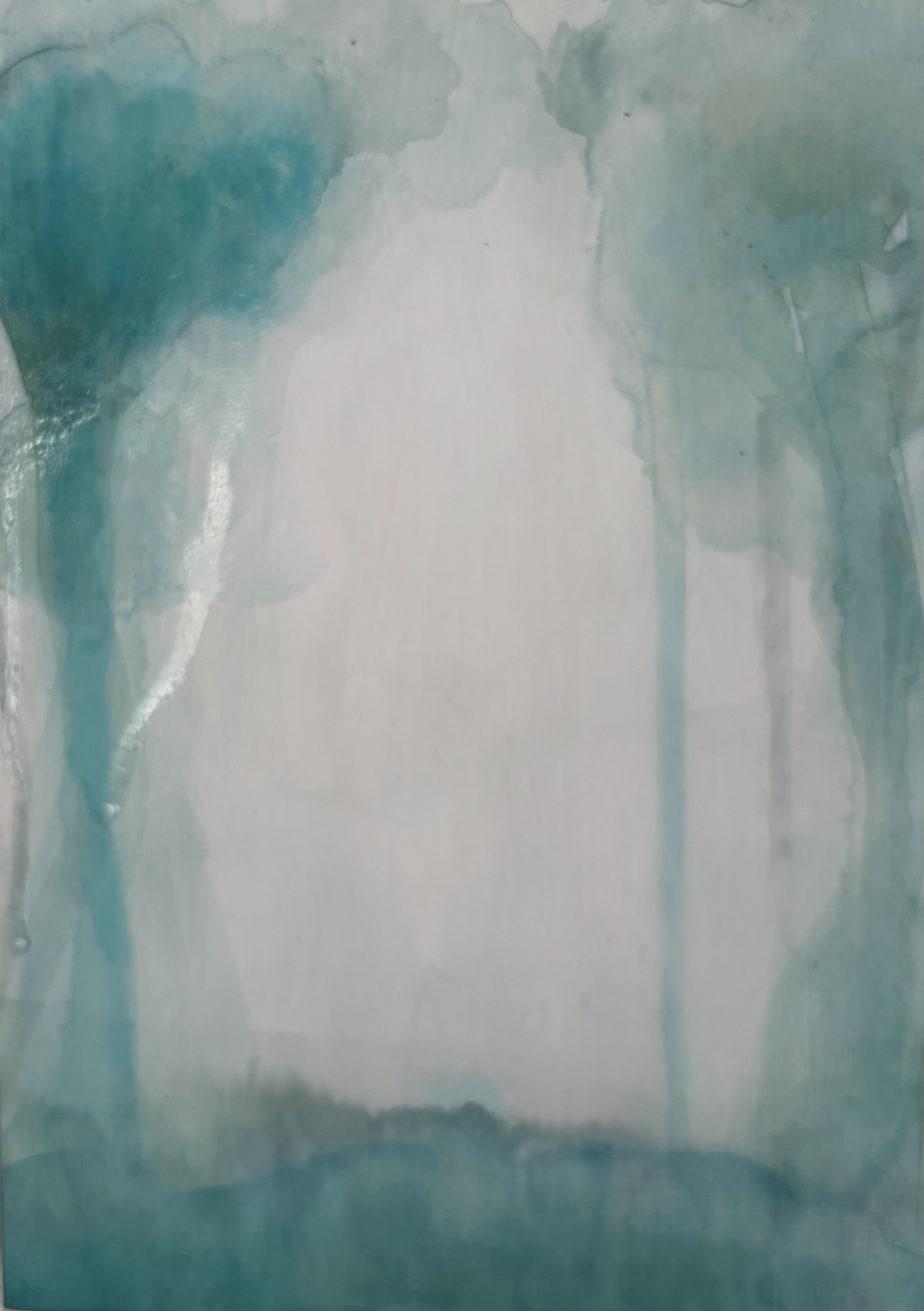 Tranquil Forest — Fragments