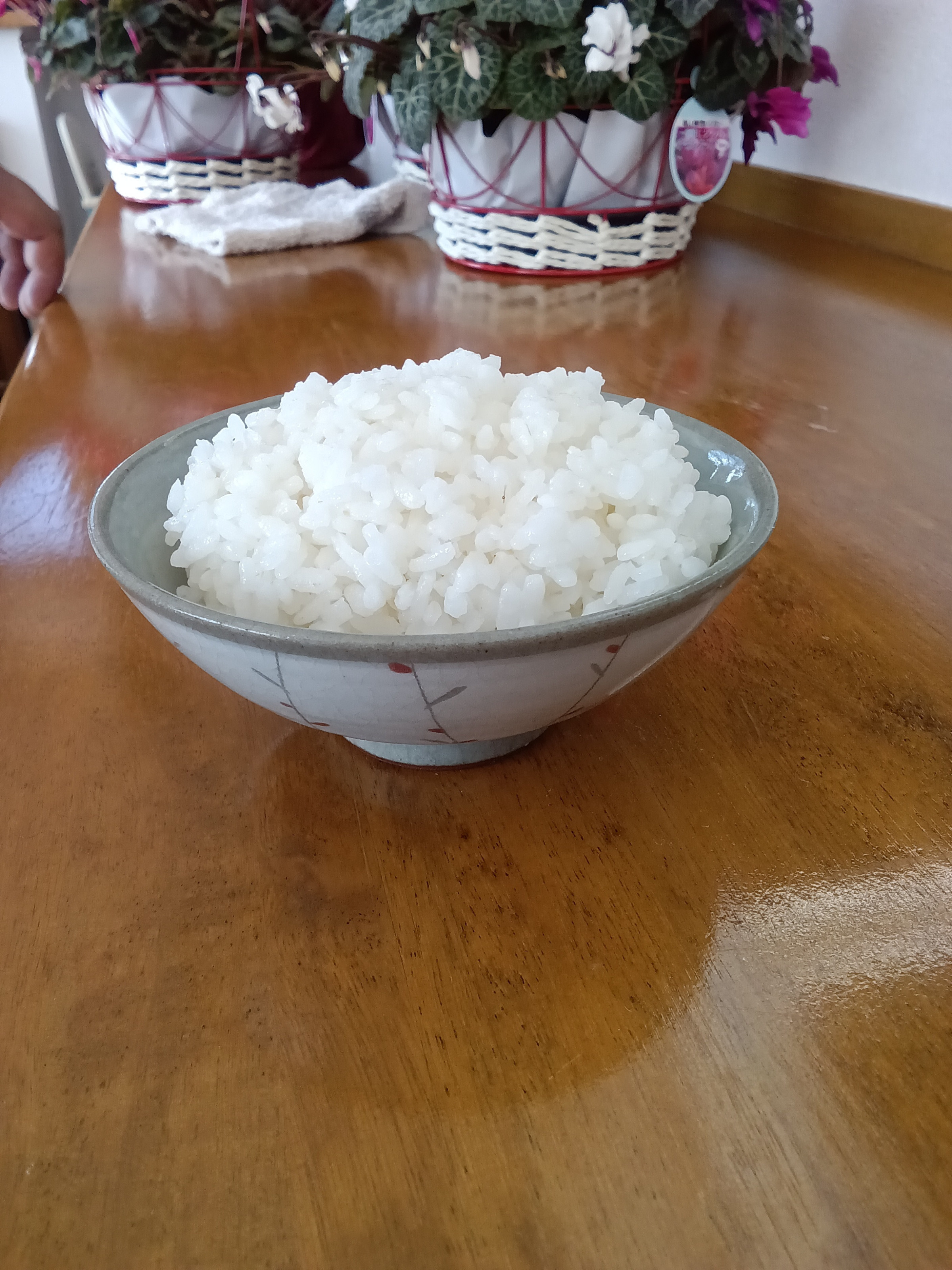 白河大信産コシヒカリ米