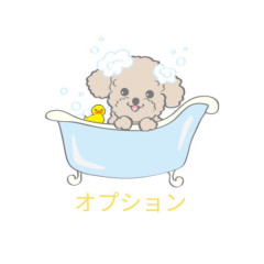 オプション