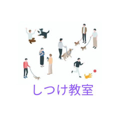 3C7DDA82-E123-4CEA-980D-647440979995.jpeg