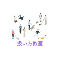 A6F785C9-B654-451D-8A49-DE81C065C321.jpeg