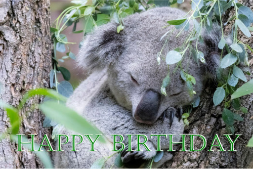 202511birthday 大阪　門真　インディバ　エステ.jpg