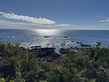 2025111003 大阪 門真 インディバ トーンヌール 温活 エステ.jpg