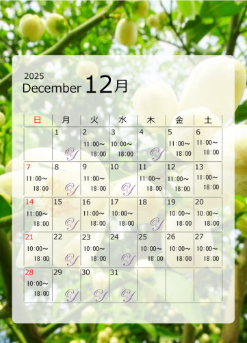 20251201 大阪　門真　インディバ　エステ.jpg