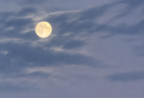 kadoma-beauty salon-full moon.png