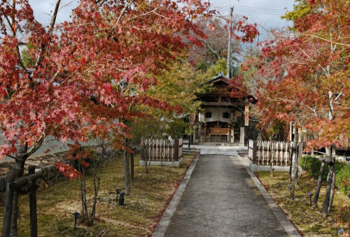 kadoma-beauty salon-fall path.jpg