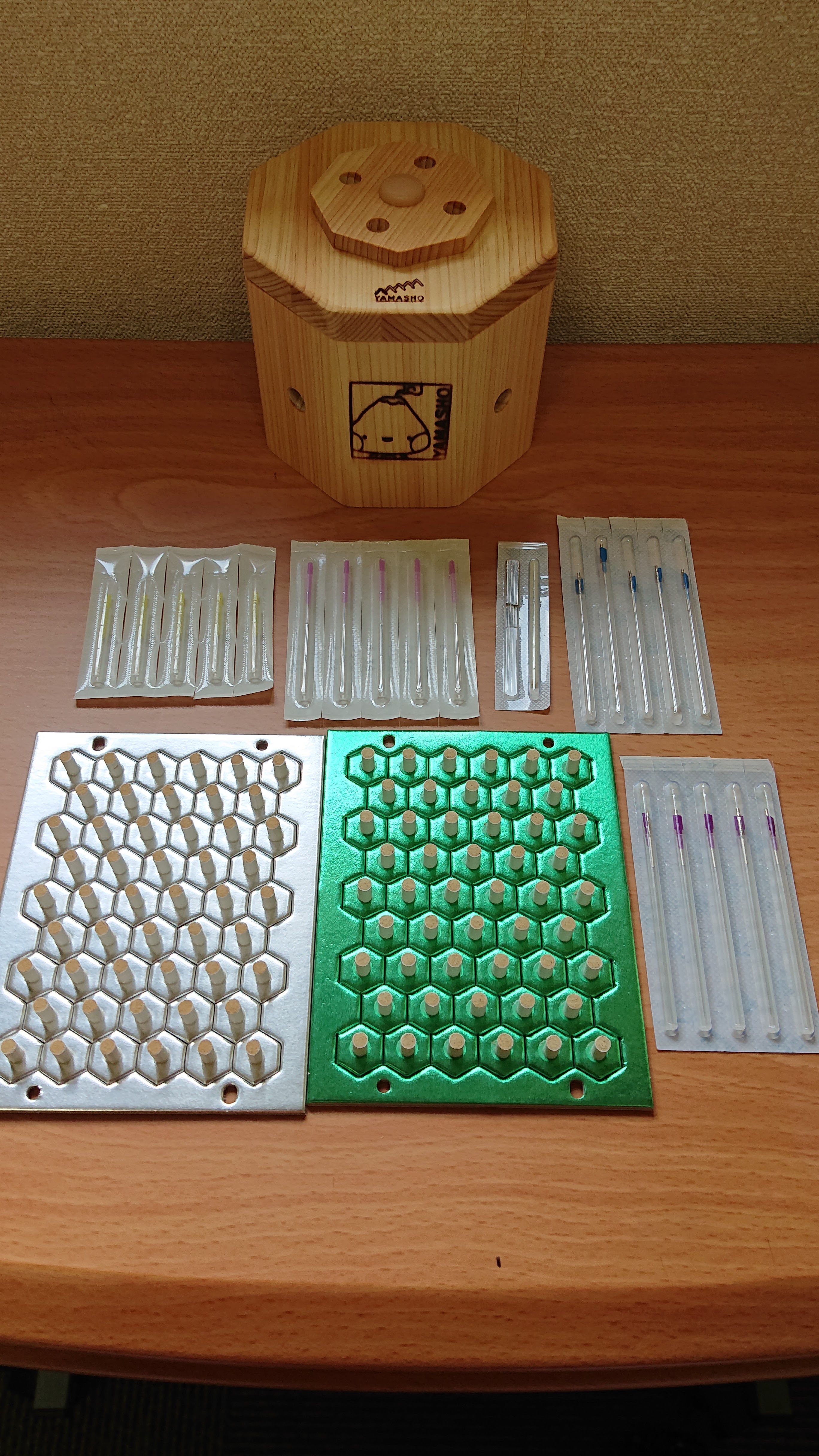 鍼灸施術　(全身調整治療)