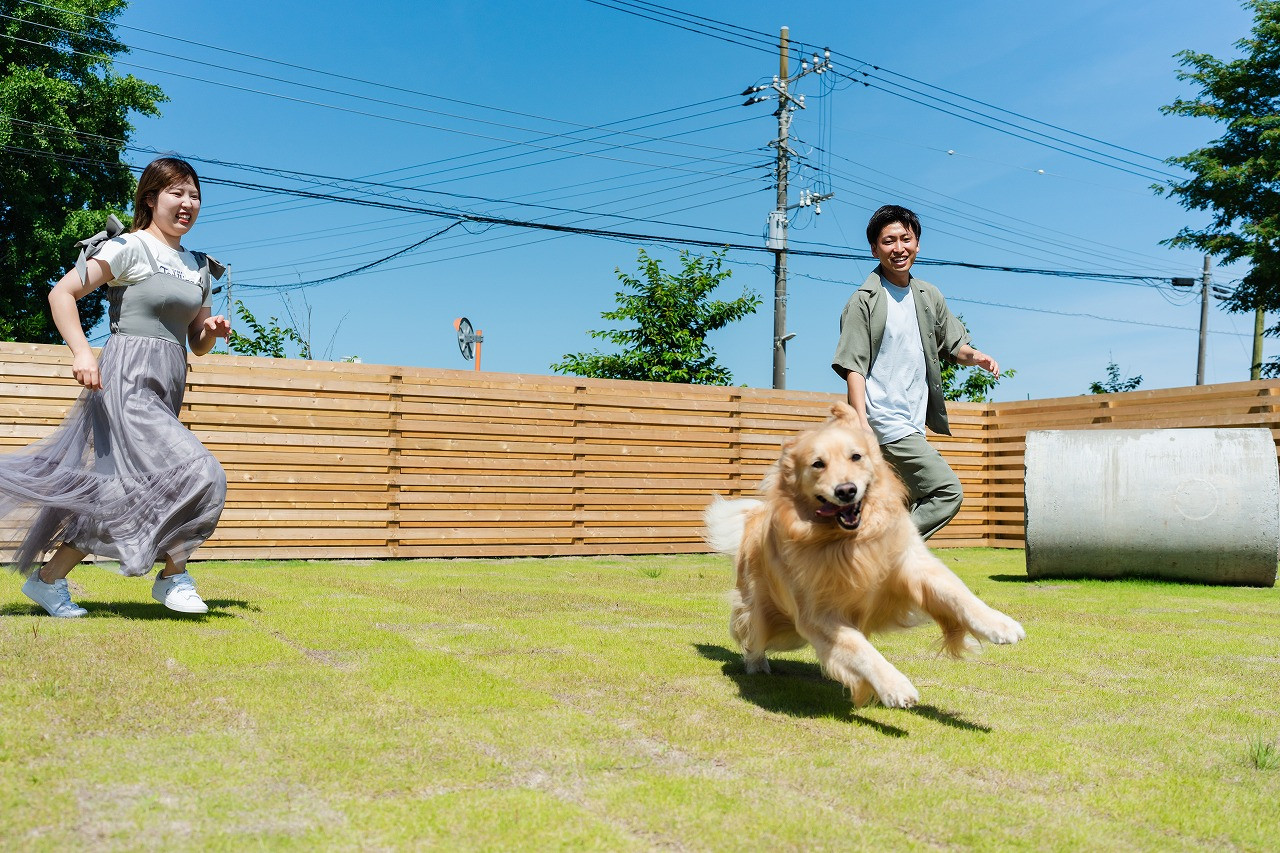 2024年　春　運営開始！定員4名、わんこと一緒に泊まれます！