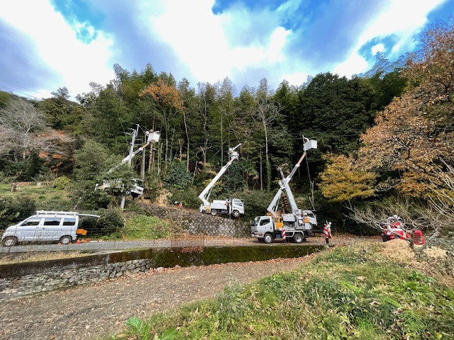 重機使用による伐採