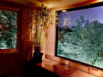 店内からの雪景色