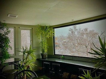 店内からの景色冬12月.jpeg