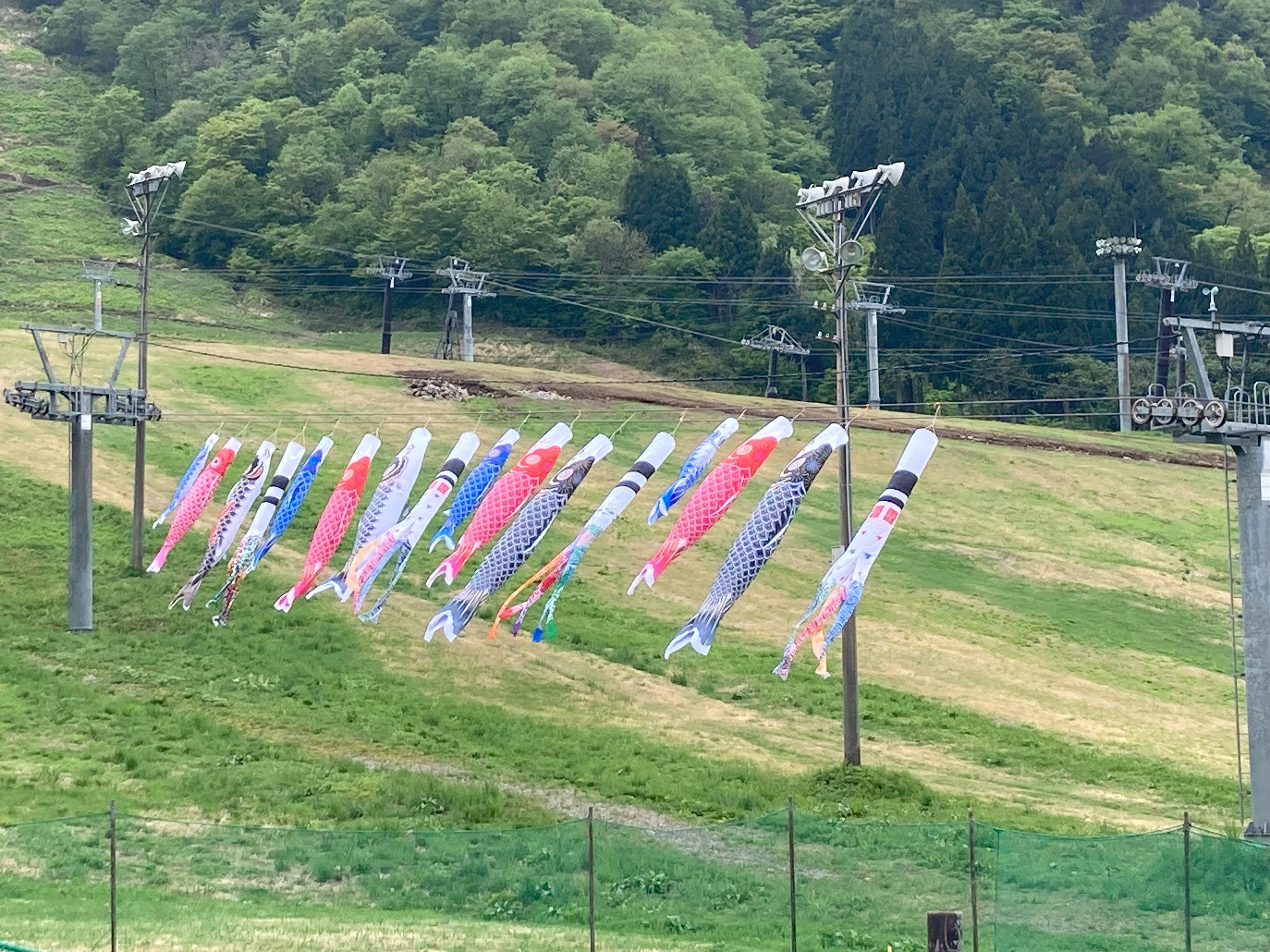 一里野温泉に鯉のぼり！