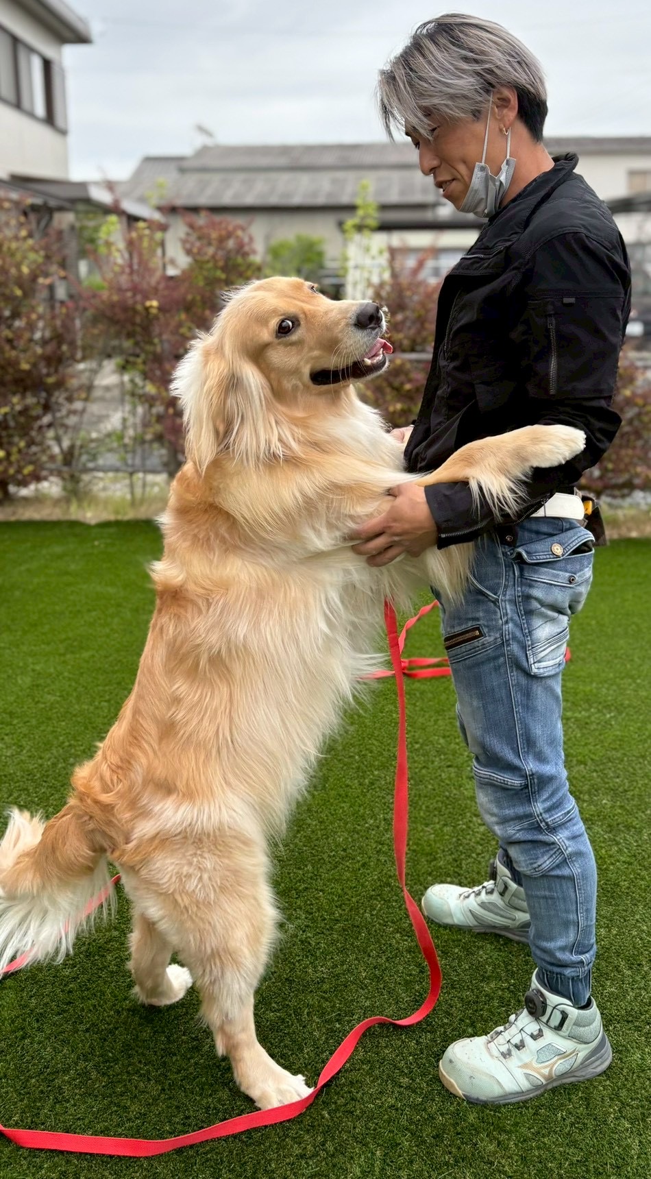 人工芝に大喜び！犬もお気に入りのお庭🐾