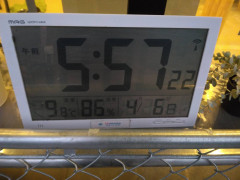 1000003871.jpg