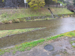IMG_20250413_100106.jpg