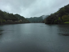 IMG_20250413_134010.jpg