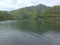IMG_20250420_151910.jpg
