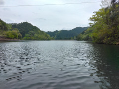 IMG_20250420_143146.jpg