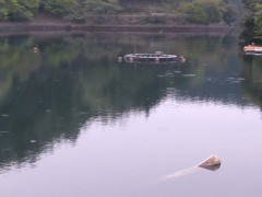 IMG_20250420_052450.jpg