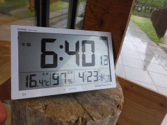 1000004136.jpg