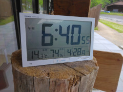 1000004174.jpg