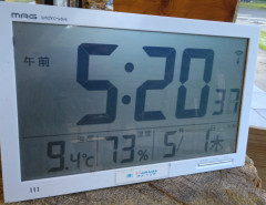 1000004234.jpg