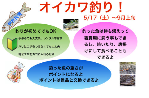 IMG_0626.jpeg