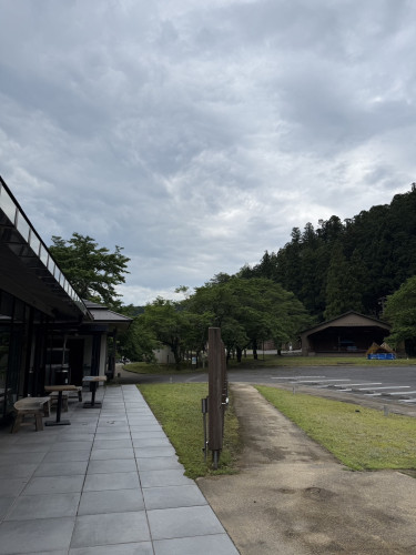 IMG_3716.jpeg