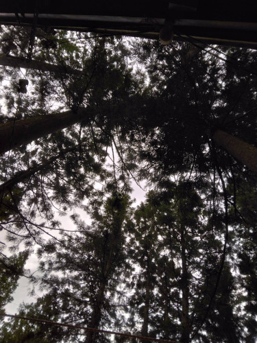 1748692530456.jpg