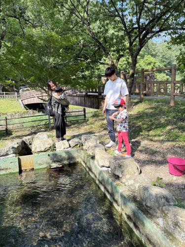 IMG_3740.jpeg