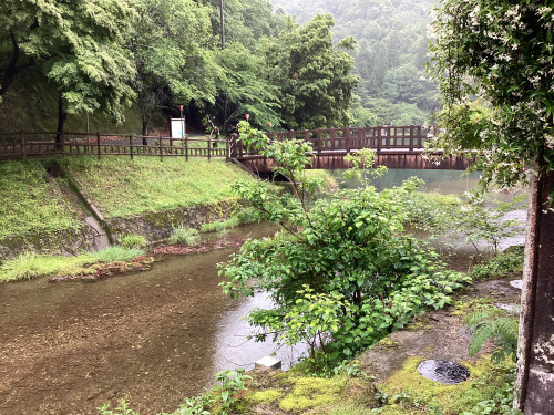 IMG_0709.jpeg