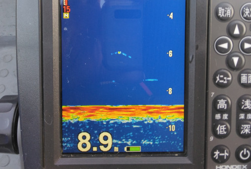 1000004702.jpg