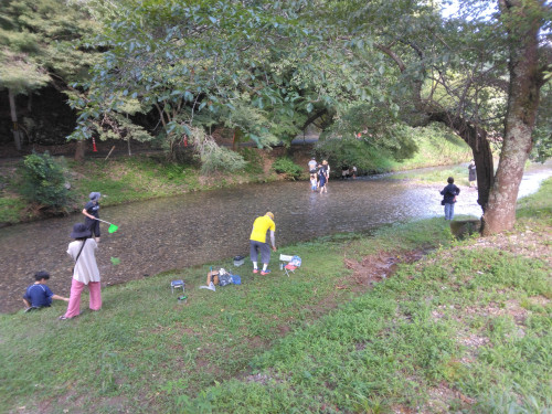 IMG_20250720_161602.jpg