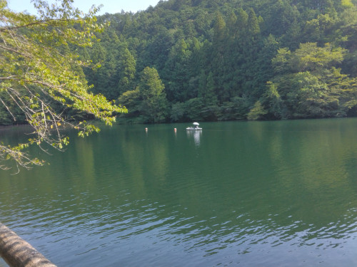 IMG_0964.jpeg