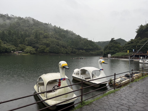 IMG_4680.jpeg