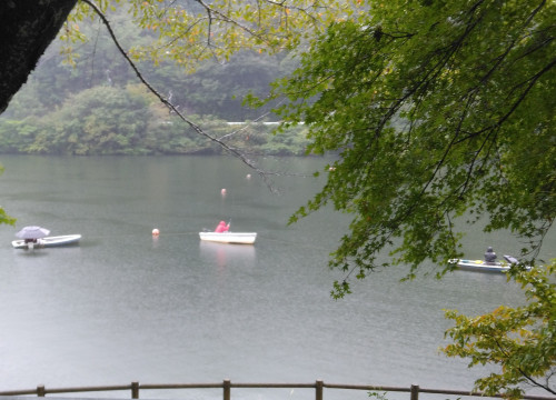 IMG_20251004_141853~2.jpg