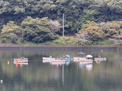 IMG_5184.jpeg