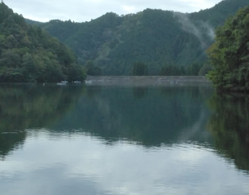 IMG_20251020_081136~2.jpg
