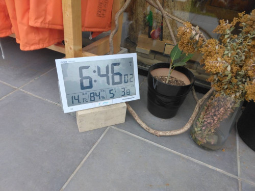 IMG_1361.jpeg