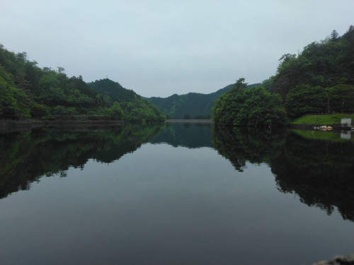 IMG_1362.jpeg