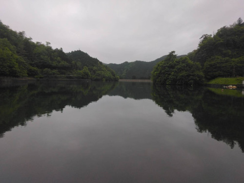 IMG_1372.jpeg