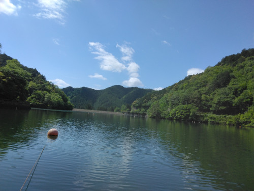 IMG_20260511_093041.jpg