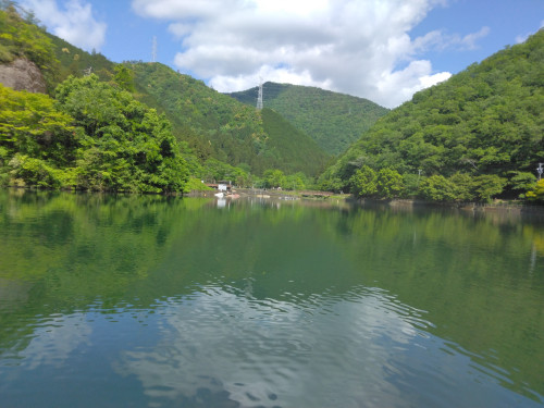 IMG_20260511_093045.jpg