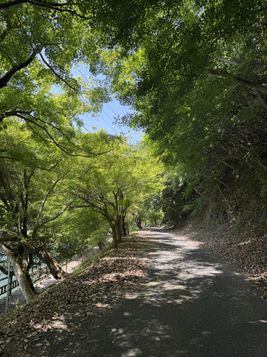 IMG_9419.jpeg