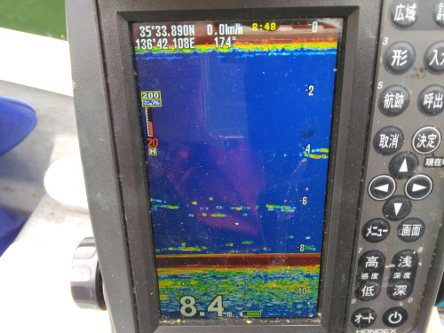 IMG_20260524_084852.jpg